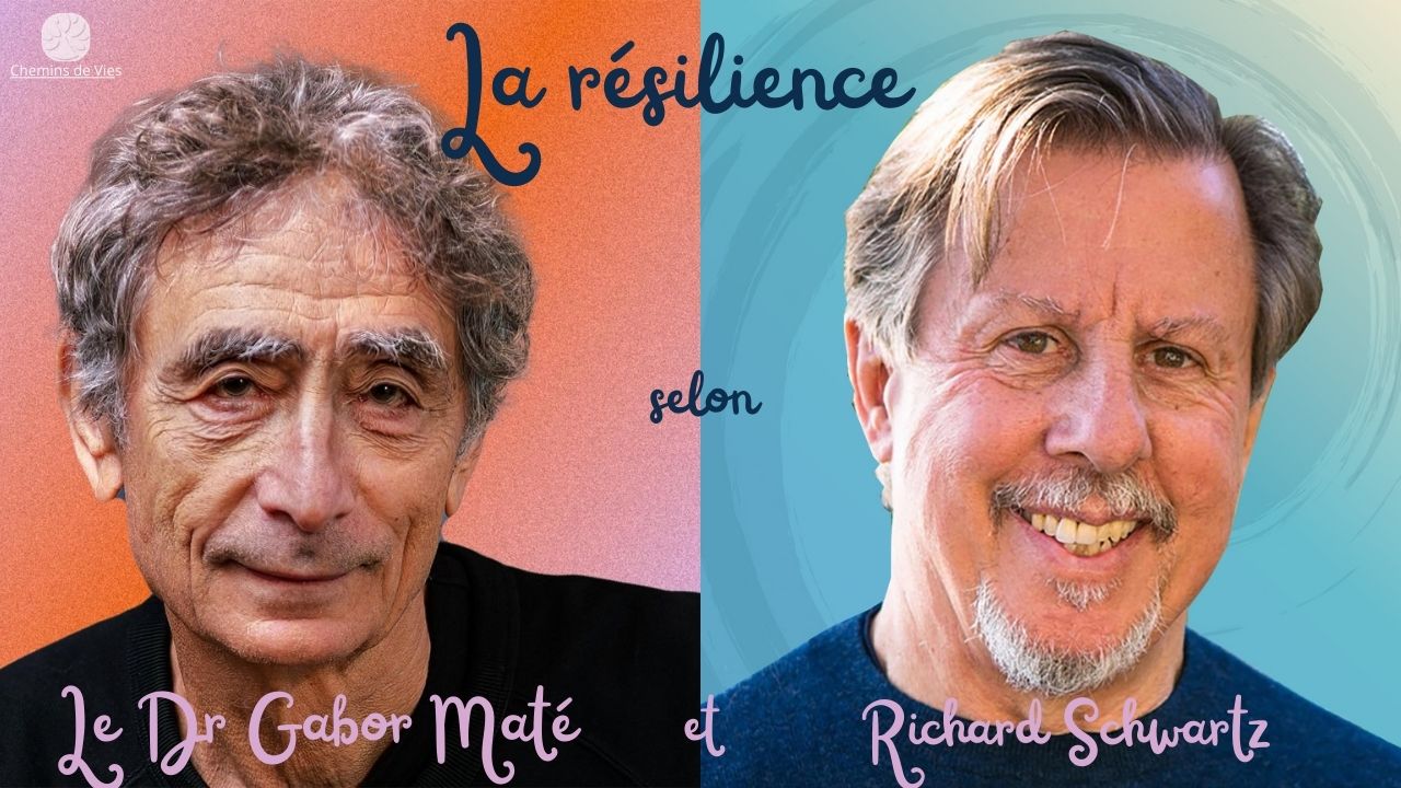 Résilience et trauma par gabor Maté et Richard Schwartz