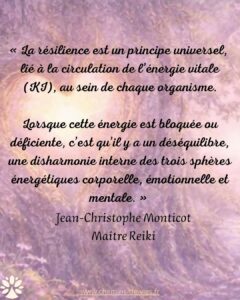 La Résilience : un principe universel
